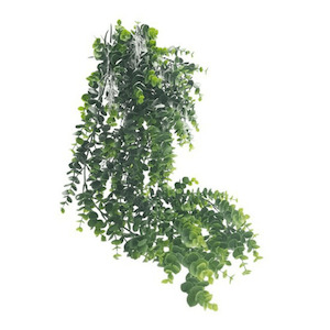 Potted Hanging Eucalyptus Grey/Green 66cm