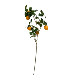 New Arrivals: Tall Lemon Branch Stem with Fruit