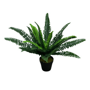 Faux Boston Fern with Pot