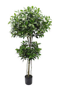 Outdoor Furniture: Shikiba Topiary Tree Potted 1.5m