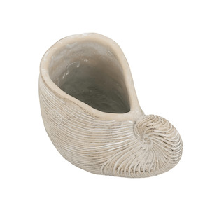 Shell Planter - Large
