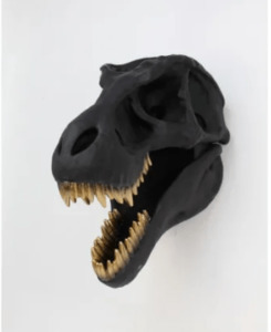 Home Decor: Wall Hanging Tyrannosaurus Rex Skull - 30cm