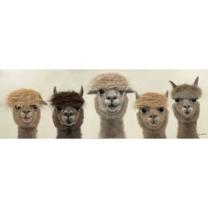 Bad Hair Day - 5 Alpaca Canvas