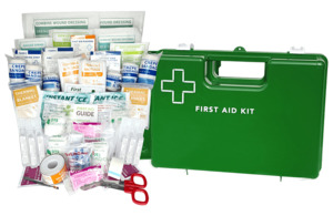 Early Child Care First Aid Kit Large - Plastic Green Wall Mount - First Aid Kits Online