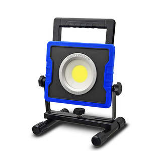 Raptor Ray Force 45 Work Light