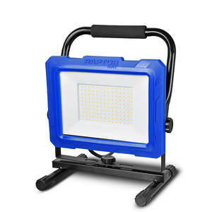 Led: Raptor Ray Sentinel 50 Work Light 230V
