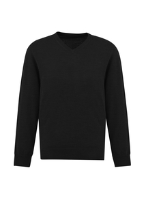 Products: Roma Mens Pullover by Biz Collection