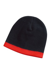 Skull Beanie by Legend