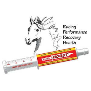 Equine: Pro-Dosa Boost Paste - 80ml