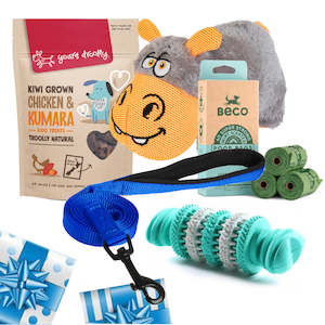 Christmas: Large Dog Gift Pack + 90cm Lead