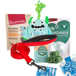 Christmas: Small Dog Gift Pack + 90cm Lead