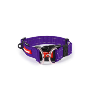 Onsale: EzyDog Collar Double Up - Purple