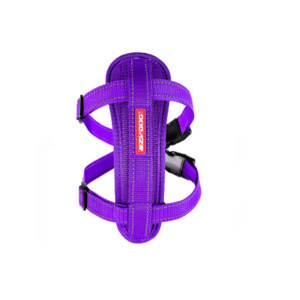 EzyDog Chest Plate Harness - Purple