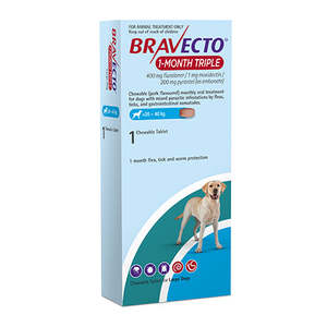 Bravecto 1 Month Triple Chew For Large Dog 20 to 40kg