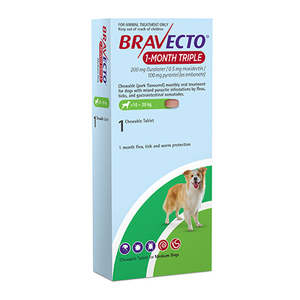 Bravecto 1 Month Triple Chew For Medium Dog 10 to 20kg