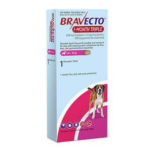 Bravecto 1 Month Triple Chew For X-Large Dog 40 to 60kg - 1 Chew