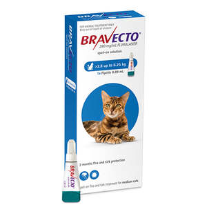 Bravecto: Bravecto Spot-On Medium Cat 2.8-6.25kg