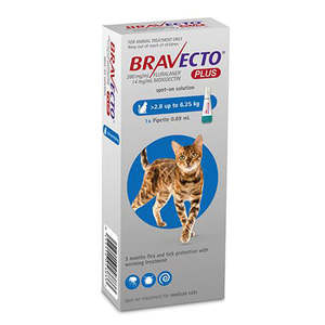 Bravecto: Bravecto Plus Spot-On For Medium Cats 2.8 to 6.25kg