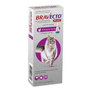 Bravecto: Bravecto Plus Spot-On For Large Cats 6.25 to 12.5kg