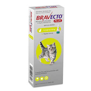 Bravecto: Bravecto Plus Spot-On For Small Cats 1.2kg to 2.8kg