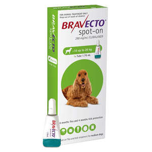 Bravecto: Bravecto Spot On Medium Dog 10-20kg