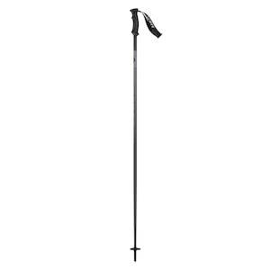 Ski Gear: Ski Pole 540 P-Lite
