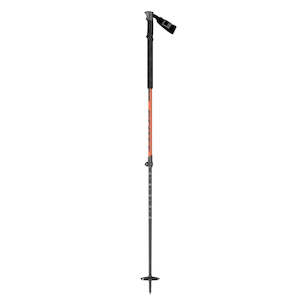 Ski Poles 1: Ski Pole Aluguide