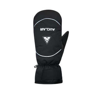 Mens Accessories: HORIZON SKI MITT