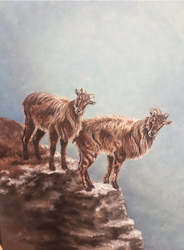 Original Paintings: Original Painting - Life on the Edge