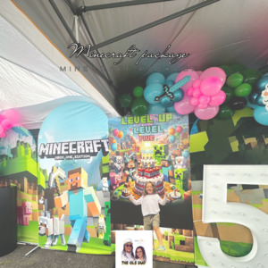 Themed Backdrops Packages: MINECRAFT PACKAGE