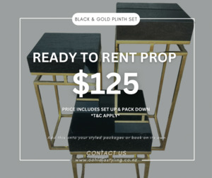 Themed Backdrops Packages: BLACK & GOLD PLINTH SET