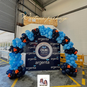 Bespoke Balloons: WAITAUA PACKAGE