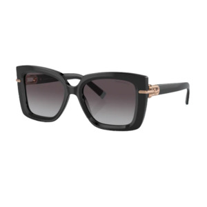 Products: Tiffany 0TF4199 Optique Eyecare