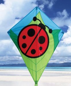 Products: 26in Lady Bug Diamond Kite