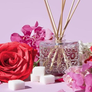 FLWR Diffuser – Sugared Rose