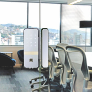 Products: Smart Digital Electric Door Lock