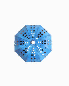 Blue Kina - Small