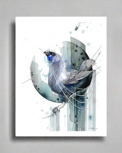 Fixed In Flow: Echo Kōkako