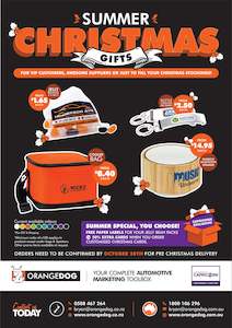 Capricorn Area Manager: Capricorn Christmas Special