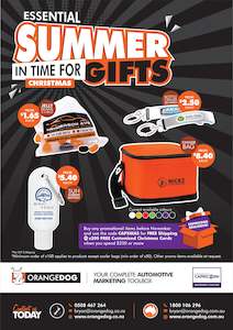 Capricorn Area Manager: Summer Essential Gifts