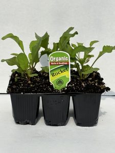 Products: Rocket