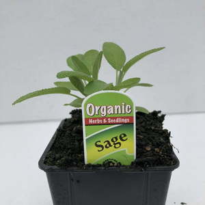 Products: Sage
