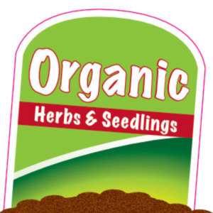 Products: Lemongrass