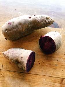 Kumara "Purple Dawn"