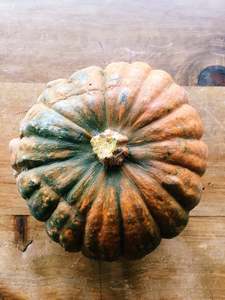 Squash Buttercup/Supermarket Squash