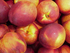 Fruit: Nectarines
