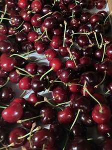 Products: Cherries - certified organic