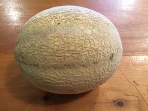 Rockmelon