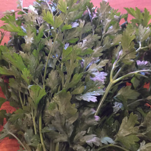 Herbs: Parsley Flatleaf bunch