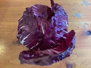 Products: Radicchio